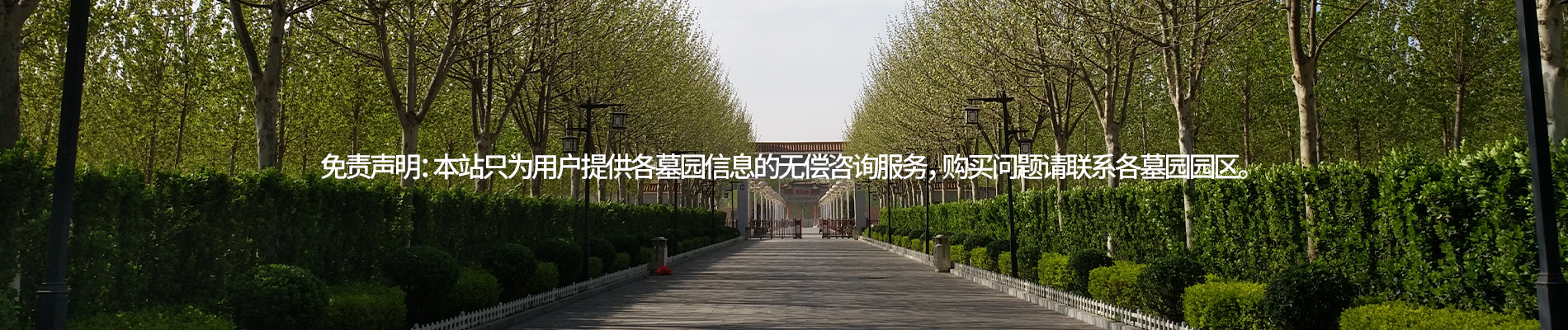 公墓,墓地,墓園